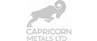 Capricorn Metals LTD